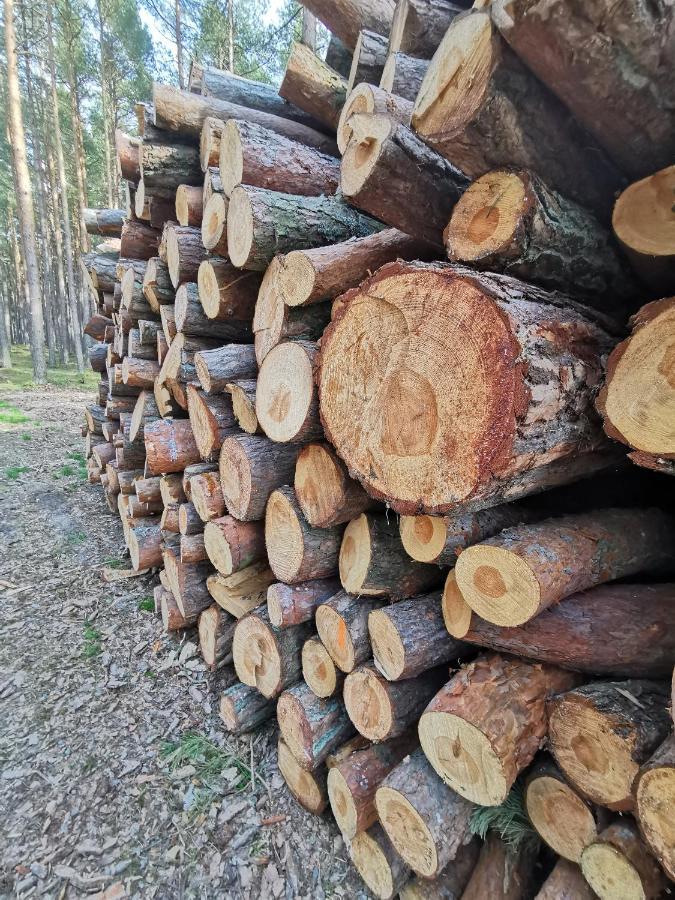 M&K Apartamenty Zielony Zakatek - Sobieszewo Gdańsk Eksteriør bilde